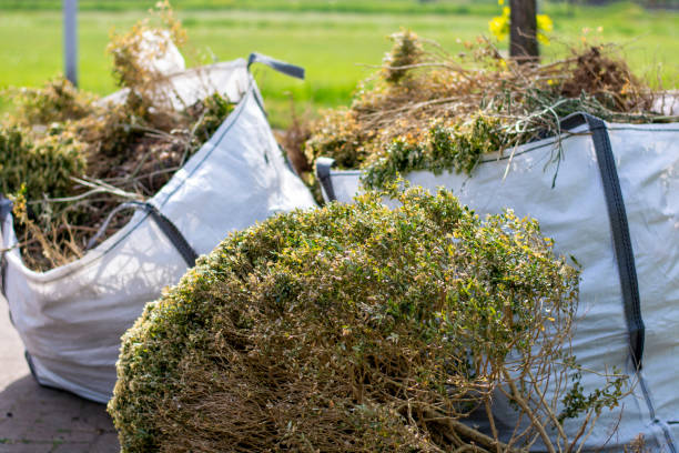 Best Yard Cleanup Services  in Tres Arroyos, NM