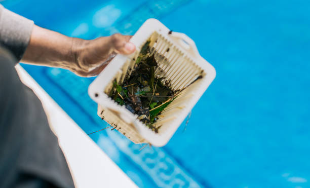 Best Estate Cleanout Services  in Tres Arroyos, NM